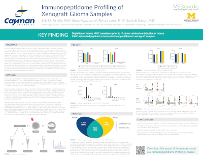 <p>Immunopeptidome Profiling of Xenograft Glioma Samples<br></p>